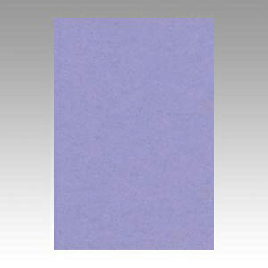 文運堂 ニューカラーR 八ツ切(ふじむらさき)