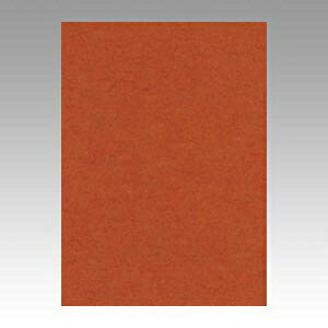 文運堂 ニューカラーR 全判(ちゃいろ)