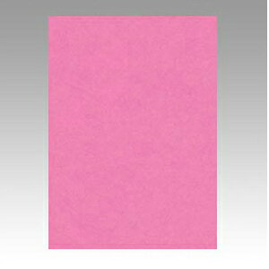 文運堂 ニューカラーR 全判(ももいろ)