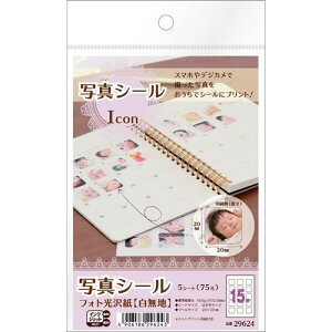 �G�[���� �ʐ^�V�[�� Icon