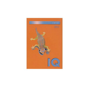 ɓ oCIgbvJ[ IW BT833iIWj