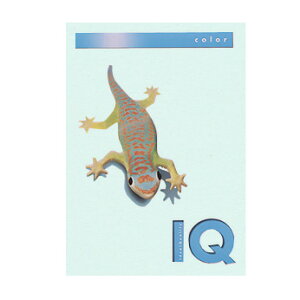 ɓ oCIgbvJ[ u[ BT607iu[j