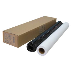 �A�W�A���� �唻�C���N�W�F�b�g�p�� ���ʎ�(�G�R�m�~�[)�i���j