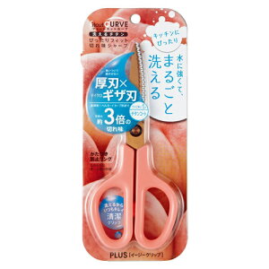 vX tBbgJbgJ[u 􂦂`^ Lb` ͂ is[`sNj