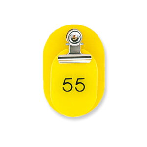 hvX`bN eqԍD ^ 51`100iCG[j