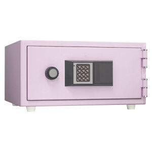 {ACEGXEPC [J[i CPS-30T eL[ 28Kiy[sNj