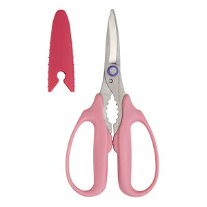 vX tBbgJbgJ[u \^CvisNj