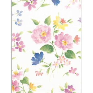 TTK  ԕ 50 S ԂÂ