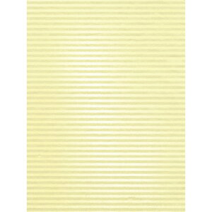 TTK  XgCv 50 S NX^CG[