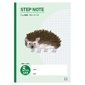 TNNpX wKm[g SȖ 5mm Xebvm[gi΁j