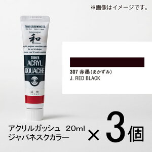 ^[i[ ANKbV 20ml AF#307 1Zbg(3)iԖni݁jj