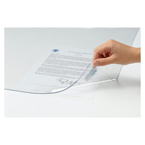 NE Rs[XEVO VJISKifXNpij