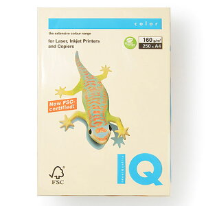 ɓ oCIgbvJ[ A4 250 160g/m2iN[j