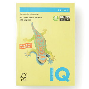 ɓ oCIgbvJ[ A4 250 160g/m2ij