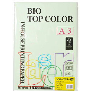 ɓ oCIgbvJ[ A3 100 80g/m2iO[j