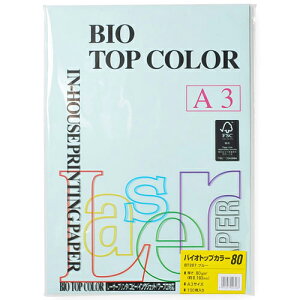 ɓ oCIgbvJ[ A3 100 80g/m2iu[j