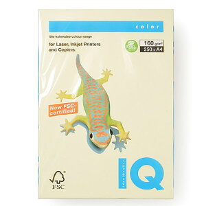 伊東屋 バイオトップカラー A4判 250枚入 160g/m2(バニラ)