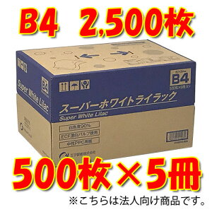 q Ԏws @l X[p[zCgCbN B4Rs[p 500×5