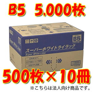 q Ԏws @l X[p[zCgCbN B5Rs[p 500×10