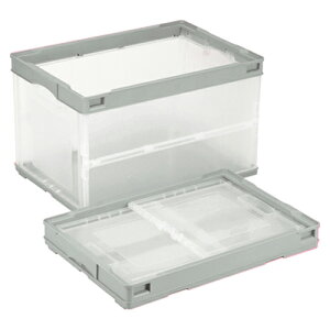 򕌃vX`bNH ܂肽݃Rei[ CB-S51NRLiO[gECj 50bgiO[gECj