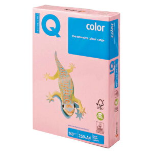 ɓ oCIgbvJ[ A4 250 160g/m2isNj