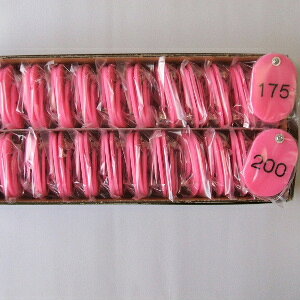 NE eqD 21gEX`[ 151`200ԁij