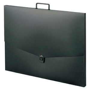 ZLZC A^[gP[X A2iubNj