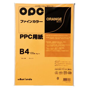 ^ t@CJ[PPC B4 100iIWj