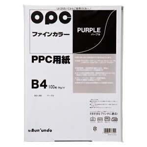 ^ t@CJ[PPC 100 B4 p[vip[vj