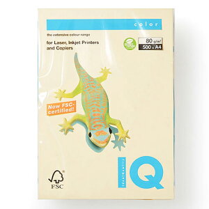 ɓ oCIgbvJ[ A4 500 80g/m2iN[j