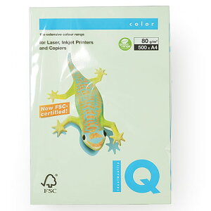 ɓ oCIgbvJ[ A4 500 80g/m2iO[j