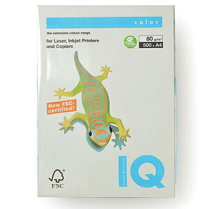 ɓ oCIgbvJ[ A4 500 80g/m2iO[j