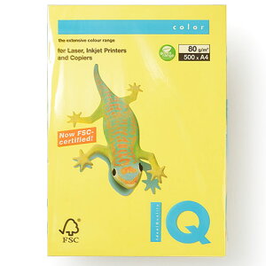 ɓ oCIgbvJ[ A4 500 80g/m2iJi[CG[j
