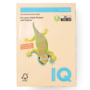 ɓ oCIgbvJ[ A4 500 80g/m2iT[j