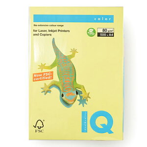 ɓ oCIgbvJ[ A4 500 80g/m2ij