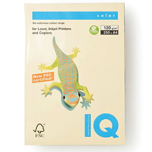 ɓ oCIgbvJ[ A4 250 120g/m2iN[j