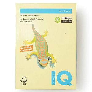 ɓ oCIgbvJ[ A4 250 120g/m2iCG[j