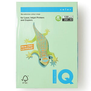 ɓ oCIgbvJ[ A4 250 120g/m2i~fBAO[j