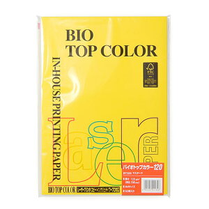 ɓ oCIgbvJ[ A4 50 120g/m2i}X^[hj