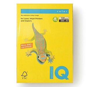 ɓ oCIgbvJ[ A4 250 120g/m2i}X^[hj