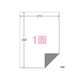 エーワン　ラベルシール〈プリンタ兼用〉下地がかくせる修正タイプ　マット紙（A4判）　12枚入　規格：A4判1面