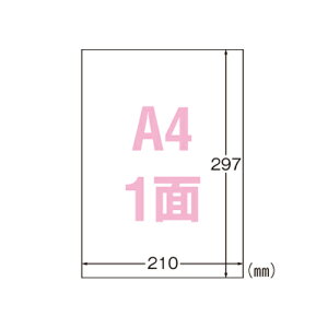 G[ [U[v^x Ołg^Cv ctBEzCg Ki:A41ʁizCgj
