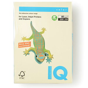 ɓ oCIgbvJ[ A4 500 80g/m2iojj