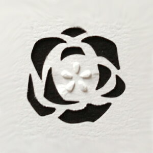 y[p[CeWFX G{Xp` fR[Vp` ̓I J[h Ao t  [Y