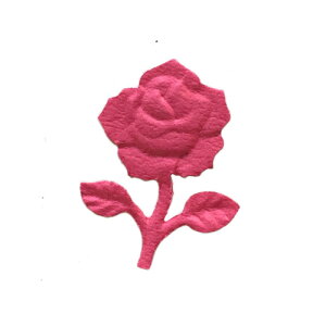 y[p[CeWFX G{Xp` fR[Vp` ̓I J[h Ao t  GKg[Y