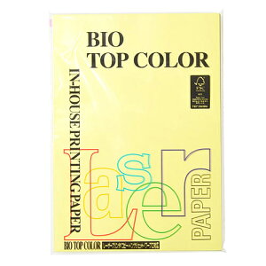 ɓ oCIgbvJ[ A4 100 80g/m2 BT127ij