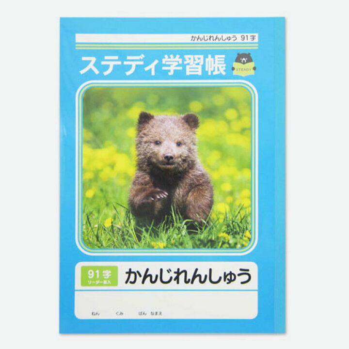 楽天市場 全商品ポイント２ １０倍4日時より 協和紙工 ステディ学習帳 漢字練習 ９１字 ４０枚 漢字 ノート 小学生 宿題 どっとカエール 楽天市場支店