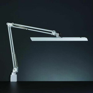 RcƖ LED ZCg Z-10RizCgj