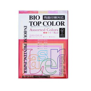 ɓ oCIgbvJ[ A\[ebh A4 100 80g/m2iubNbhCIWCT[CsNCt~Sj