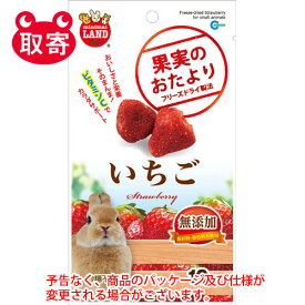 楽天市場 うさぎ おやつ いちじくの通販 楽天市場 うさぎ おやつ いちじくの通販